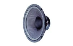 Visaton Haut-parleur De Graves HiFi W 250 - Cinéma à Domicile + Haut-parleurs Hifi