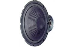 Visaton Haut-parleur De Graves HiFi W 300 - Cinéma à Domicile + Haut-parleurs Hifi
