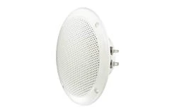 Visaton Haut-parleurs Large Bande IP65 FR 13 WP - Cinéma à Domicile + Haut-parleurs Hifi
